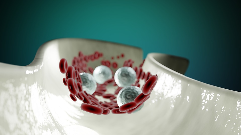 Blood cells in an artery