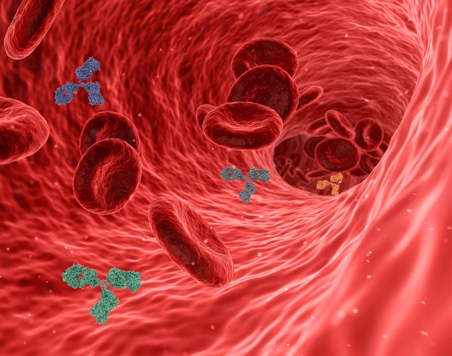 Blood cells